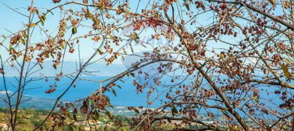 13-Zimmer Haus in Milo, Italy, Nr. 235244 29