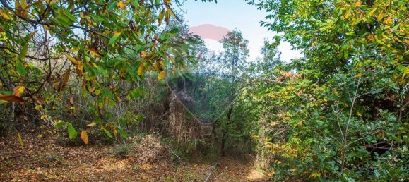 13-Zimmer Haus in Milo, Italy, Nr. 235244 12