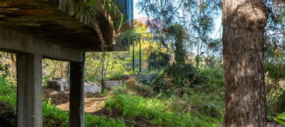 13-Zimmer Haus in Milo, Italy, Nr. 235244 30