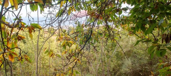 13-Zimmer Haus in Milo, Italy, Nr. 235244 15