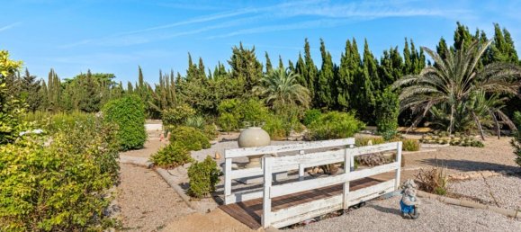 3 bedrooms House in Los Montesinos, Spain No. 183673 33