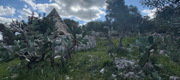 Studio in Monopoli, Italy, Nr. 39615 48