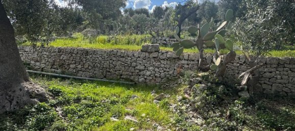 Studio in Monopoli, Italy, Nr. 39615 18