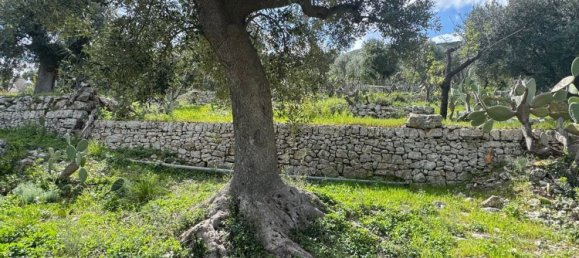 Studio in Monopoli, Italy, Nr. 39615 16