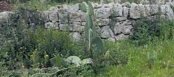 Studio in Monopoli, Italy, Nr. 39615 22