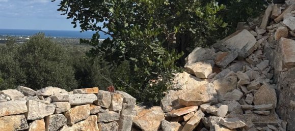 Studio in Monopoli, Italy, Nr. 39615 29