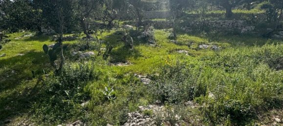 Studio in Monopoli, Italy, Nr. 39615 19