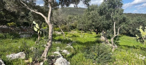 Studio in Monopoli, Italy, Nr. 39615 24