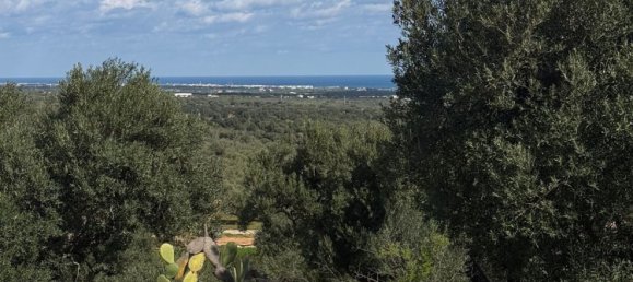 Studio in Monopoli, Italy, Nr. 39615 36