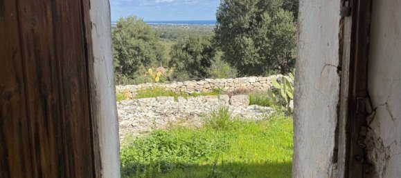 Studio in Monopoli, Italy, Nr. 39615 35