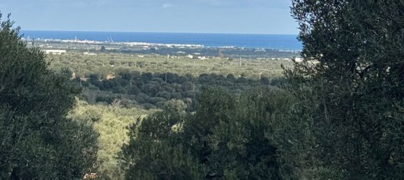 Studio in Monopoli, Italy, Nr. 39615 41