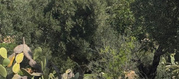 Studio in Monopoli, Italy, Nr. 39615 31