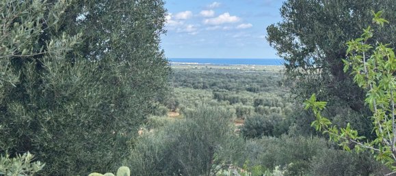 Studio in Monopoli, Italy, Nr. 39615 42