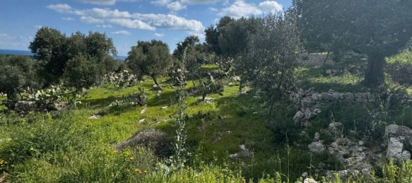 Studio in Monopoli, Italy, Nr. 39615 20