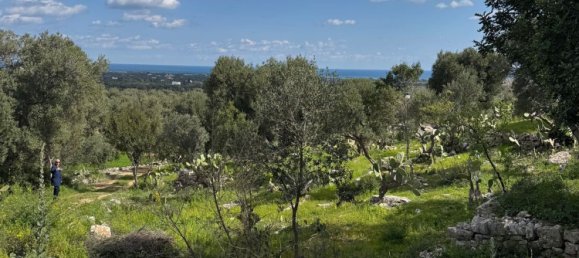 Studio in Monopoli, Italy, Nr. 39615 21