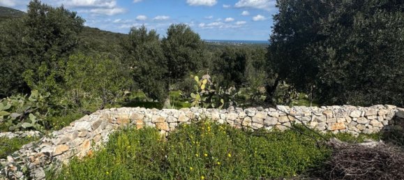 Studio in Monopoli, Italy, Nr. 39615 32