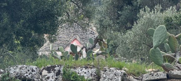 Studio in Monopoli, Italy, Nr. 39615 15