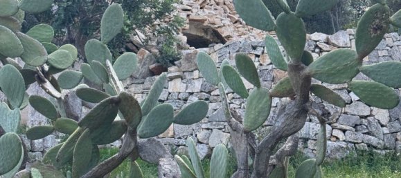 Studio in Monopoli, Italy, Nr. 39615 44