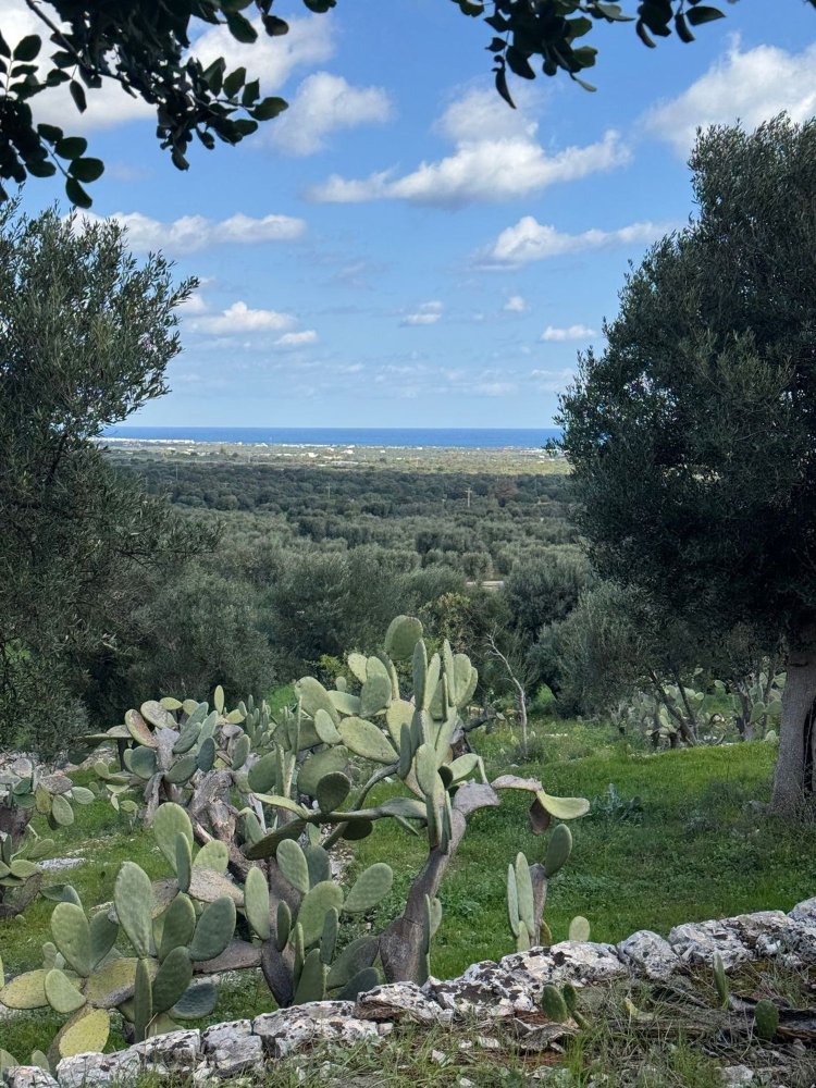 Studio in Monopoli, Italy, Nr. 39615