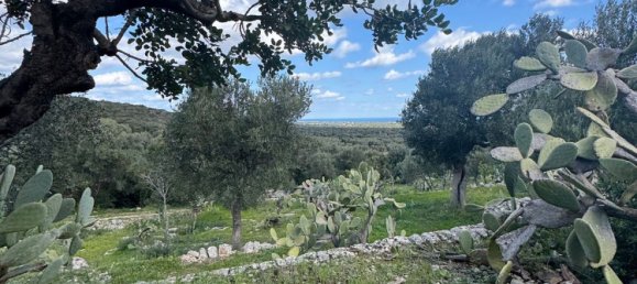 Studio in Monopoli, Italy, Nr. 39615 45