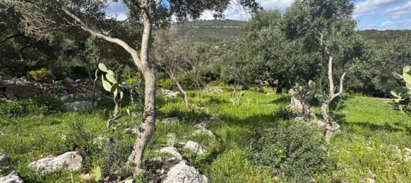 Studio in Monopoli, Italy, Nr. 39615 25