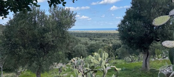 Studio in Monopoli, Italy, Nr. 39615 47