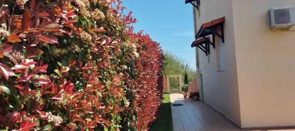 5 bedrooms Property in Achaea, Greece No. 1989 3