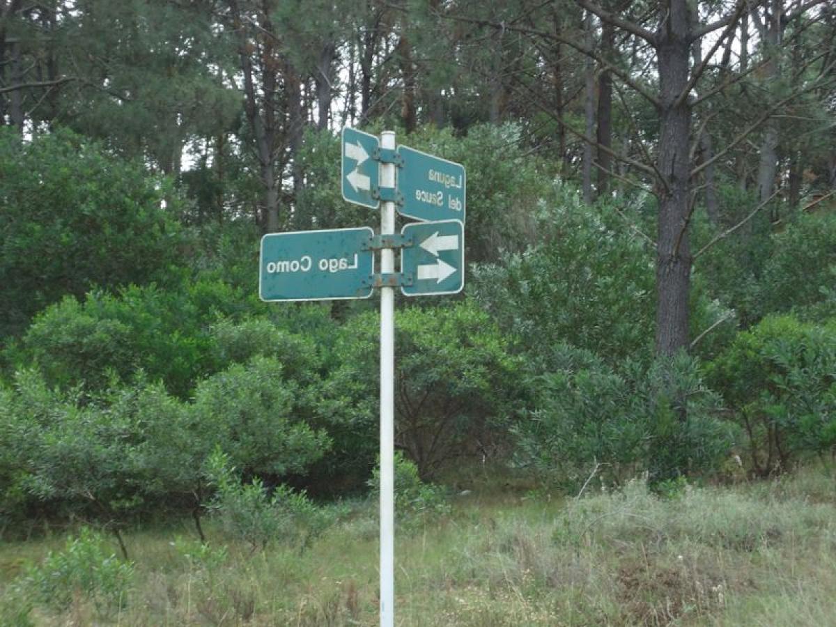 Terrain à Maldonado, Uruguay No. 14564