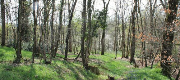 Land in Mayenne, France No. 357616 10