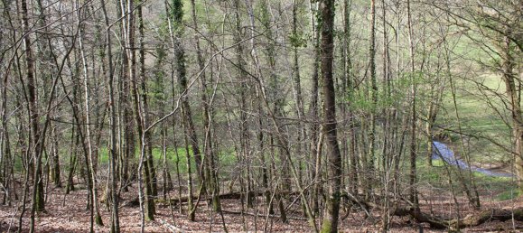 Land in Mayenne, France No. 357616 7