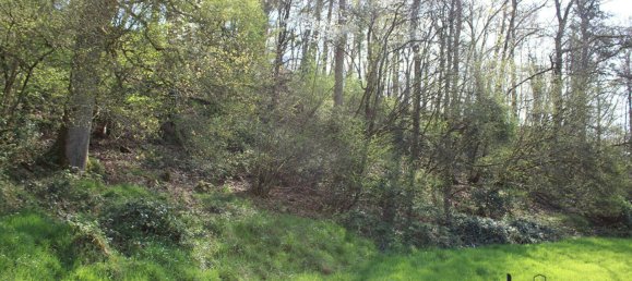 Land in Mayenne, France No. 357616 6