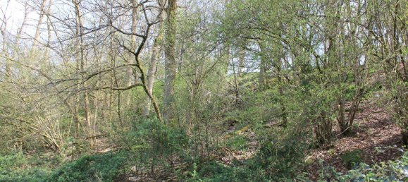 Land in Mayenne, France No. 357616 4