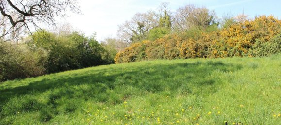 Land in Mayenne, France No. 357616 2