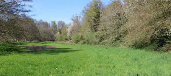 Land in Mayenne, France No. 357616 3