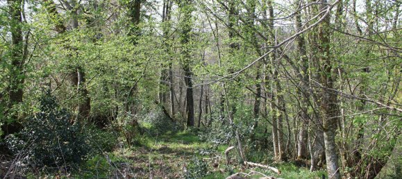 Land in Mayenne, France No. 357616 9