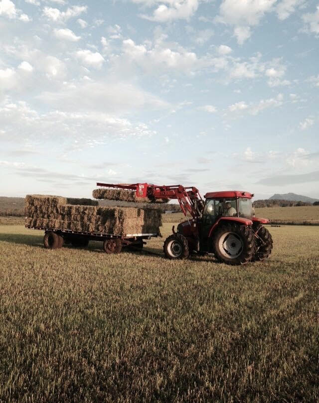 3 bedrooms Farm in Croftby, Australia No. 742