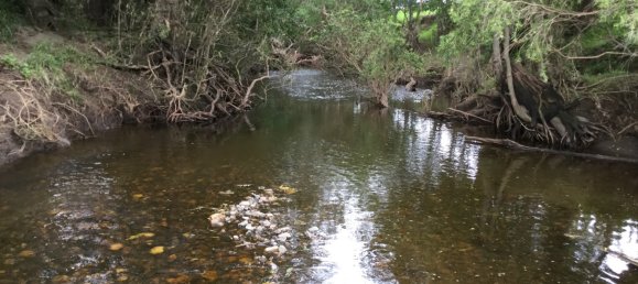 Granja de 3 dormitorios en Croftby, Australia No. 742 29