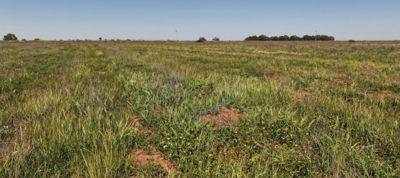  منزل في Stanbridge, Australia رقم 1096 7