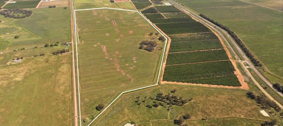  منزل في Stanbridge, Australia رقم 1096 3