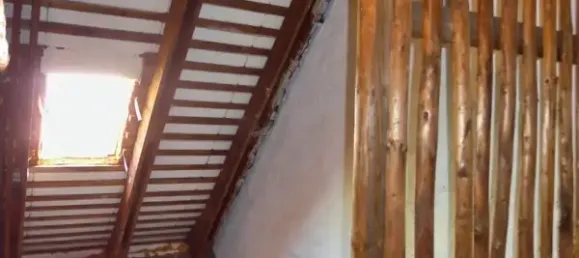 1 bedroom Apartment in Zwickau, Germany No. 146736 28