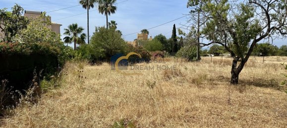 Terreno T4 em Guia, Portugal N.º 140263 3