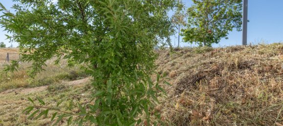  قطعة أرض في Granada, Spain 300متر مربع رقم 166685 27