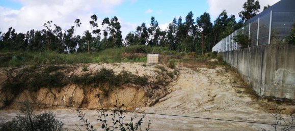 8062m² Land in Penafiel, Portugal No. 77523 7