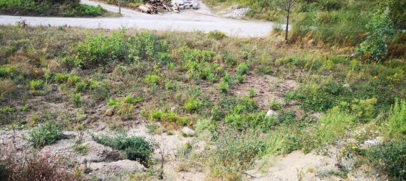 8062m² Land in Penafiel, Portugal No. 77523 5