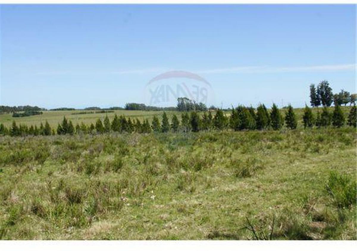 Grundstück in Maldonado, Uruguay, Nr. 15984