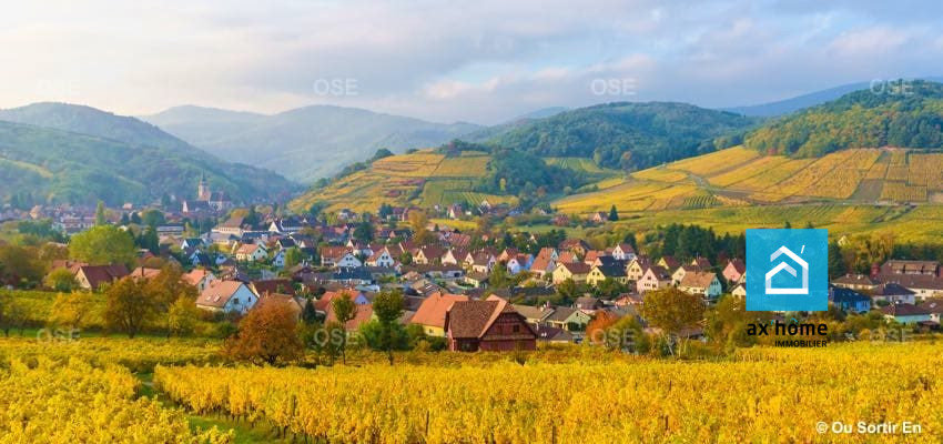  قطعة أرض في Barr, France رقم 90738