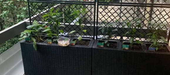 3-Zimmer Wohnung in Lankwitz, Germany, Nr. 46399 5