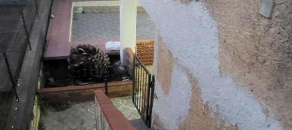 Casa de 3 divisões em Augusta, Italy N.º 252627 24