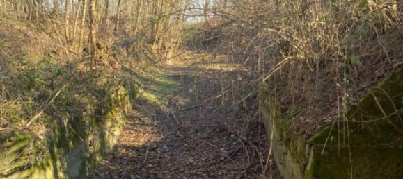 Casa de 4 habitaciónes en Alseno, Italy No. 85214 16