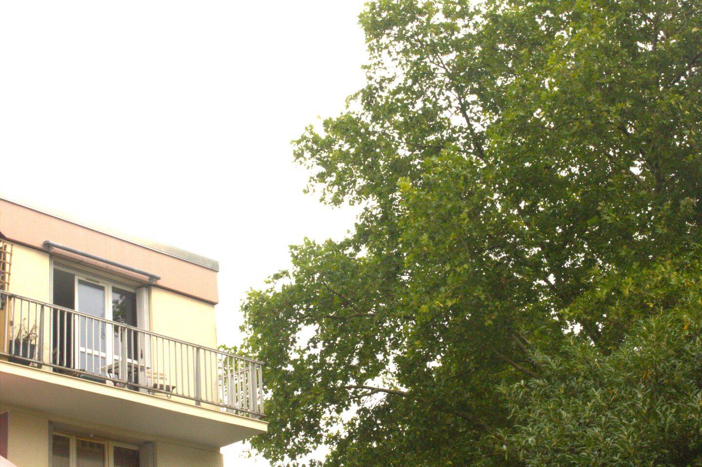 2 Schlafzimmer Wohnung in Lagny-sur-Marne, France, Nr. 334538